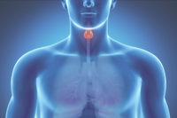 Нарушения функций щитовидной железы